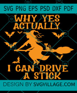 Why Yes Actually I Can Drive A Stick SVG