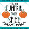 You Are Pumpkin To My Spice svg