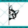 Cute Peeking Cat SVG, Cute Cat Svg, Funny Cat Svg, Peeking Pet Face Svg